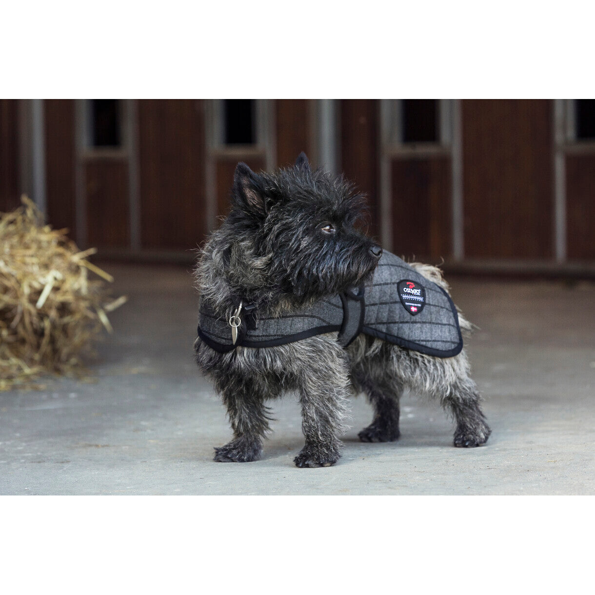 CATAGO Cooler dækken til hund - Grå