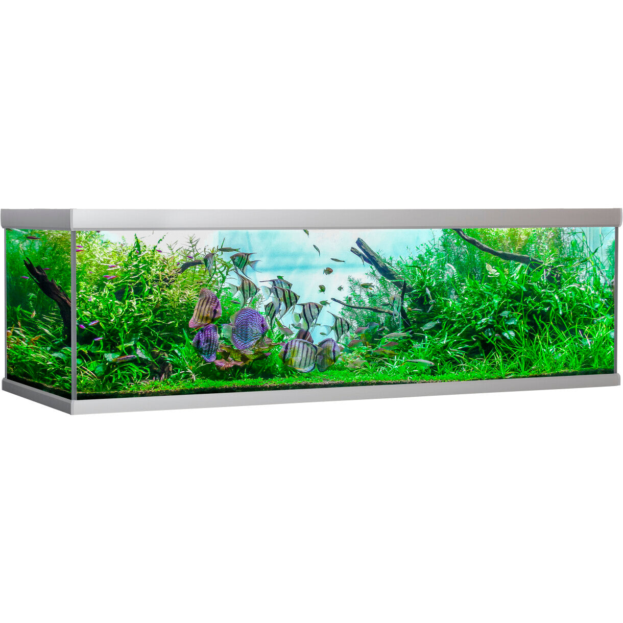 AkvaStabil fusion akvarie - 200 x 75 x 64 cm - 900 liter - sølv farvet