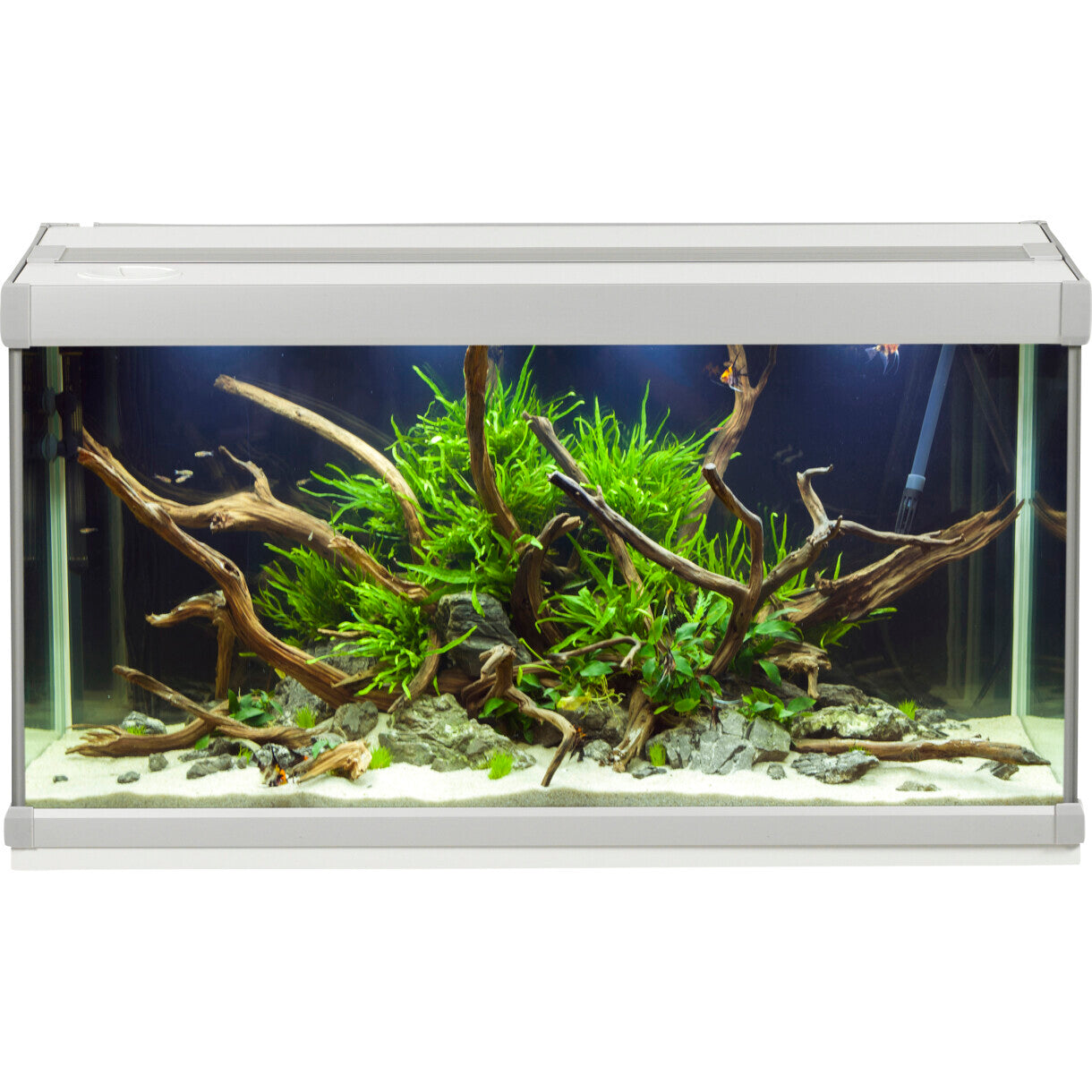 AkvaStabil Family akvarie - 70 x 32,5 x 37 cm - hvid - 54 liter - med tetra tilbehør - filter og heater