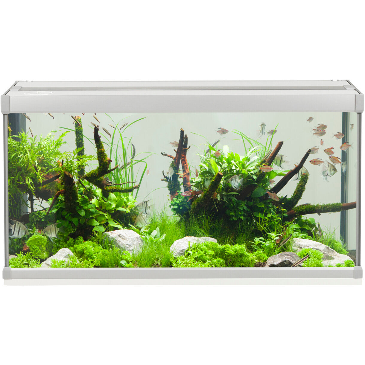 AkvaStabil Family akvarie - 80 x 35 x 42 cm - hvid - 54 liter - med tetra tilbehør - filter og heater