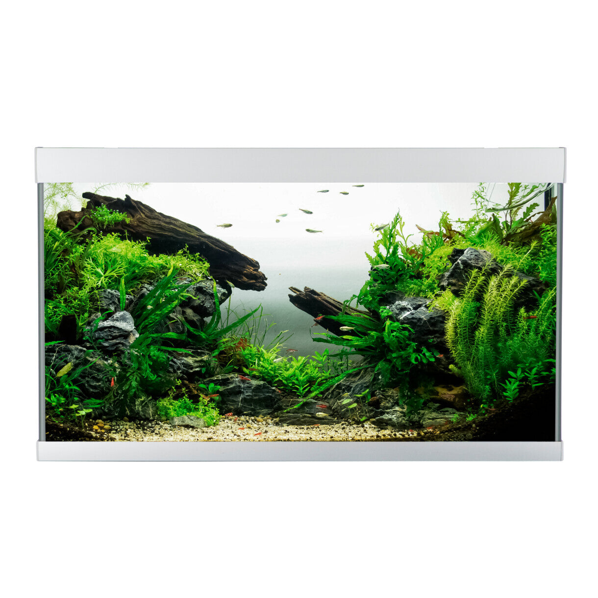 AkvaStabil element akvarie - 80 x 40 x 48 cm - sølv med filter - varme og LED-lys - 144 liter