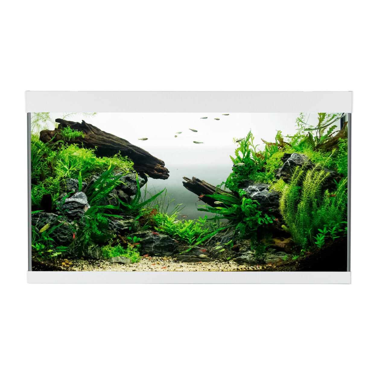 AkvaStabil element akvarie - 80 x 40 x 48 cm - hvid med filter - varme og LED-lys - 144 liter