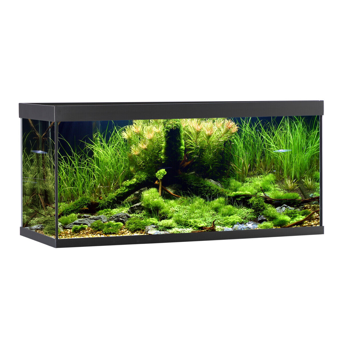 AkvaStabil element akvarie - 100 x 40 x 48 cm - sort - med filter - varme og LED-lys - 180 liter