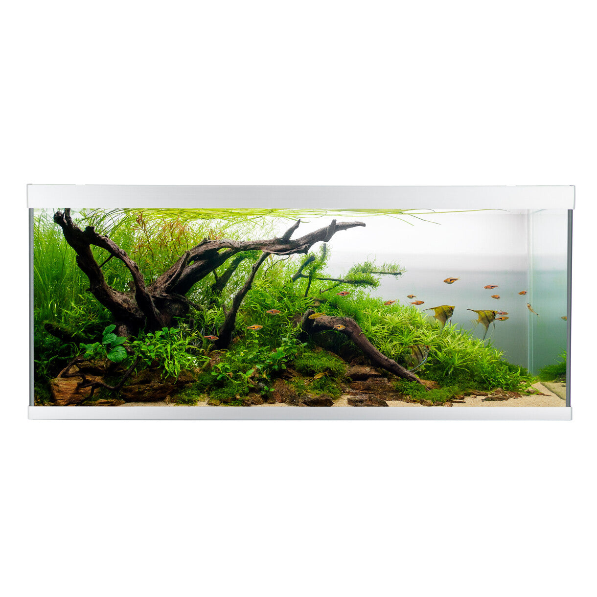 AkvaStabil element akvarie - 120 x 40 x 53 cm - sølv - med filter - varme og LED-lys - 240 liter
