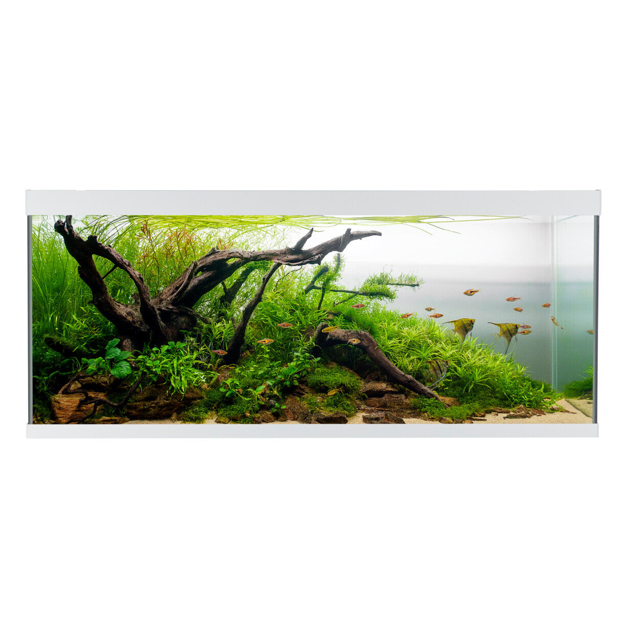 AkvaStabil element akvarie - 120 x 40 x 53 cm - hvid - med filter - varme og LED-lys - 240 liter