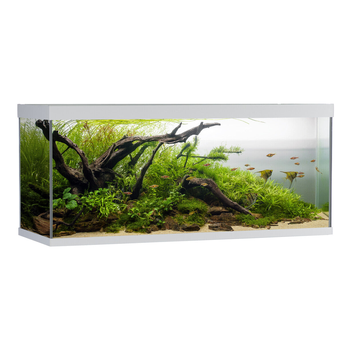 AkvaStabil element akvarie - 120 x 40 x 53 cm - hvid - med filter - varme og LED-lys - 240 liter