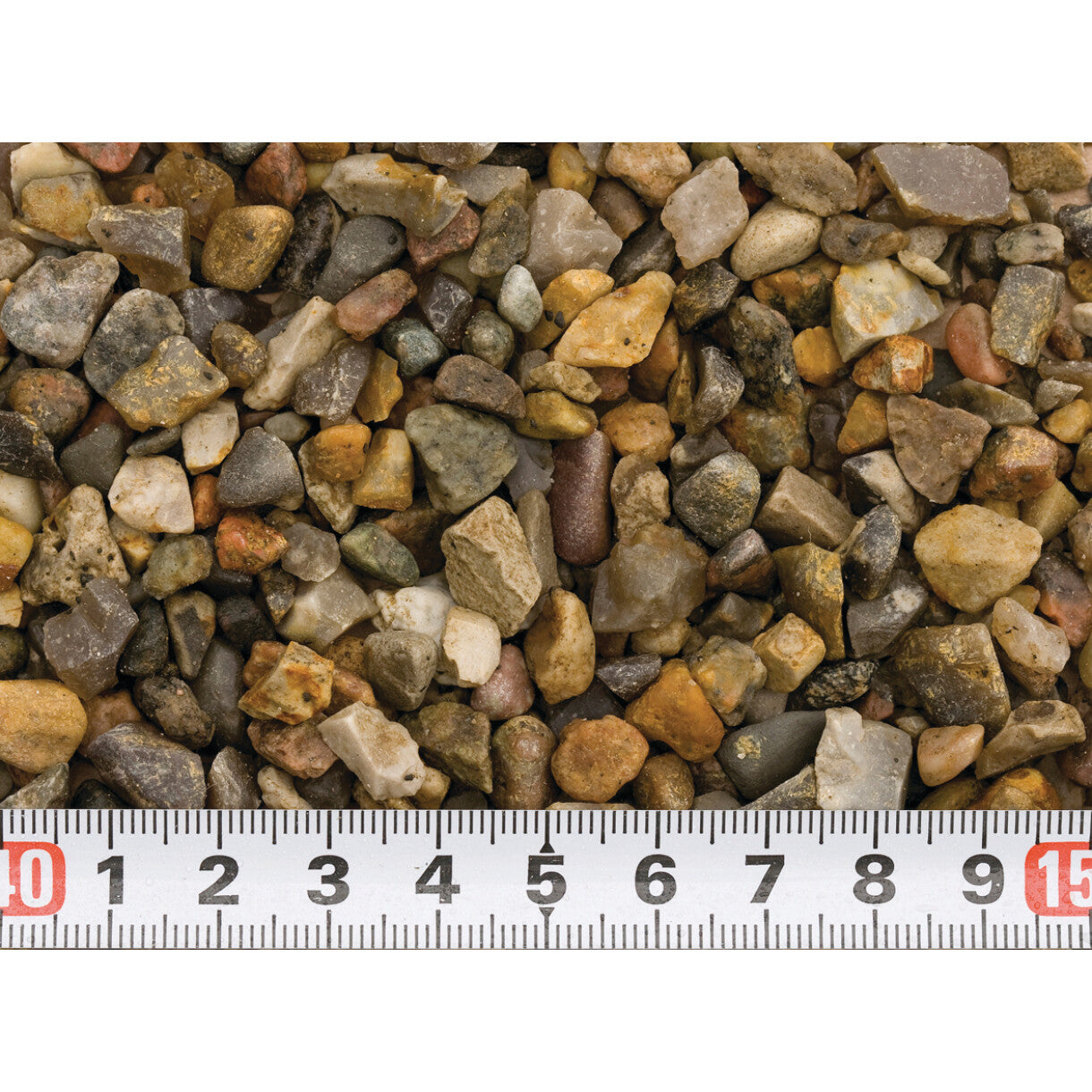 Akvastabil Uranus akvariegrus, 3-6 mm