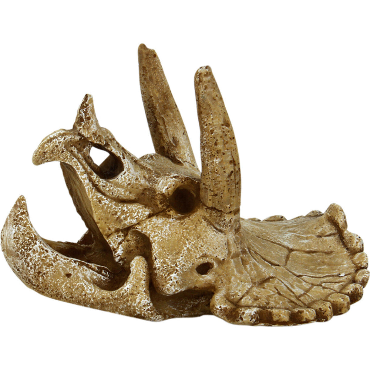 4FISH akvarie dekoration Kranie 14,3 x 12 x 9,7 cm