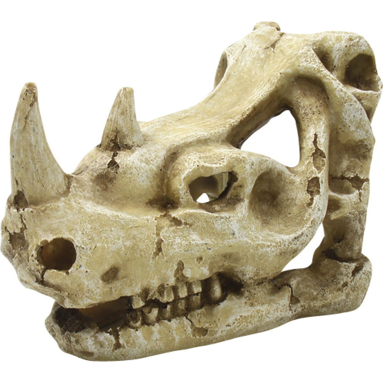 4FISH akvarie dekoration Kranie 16 x 9,5 x 10,7 cm