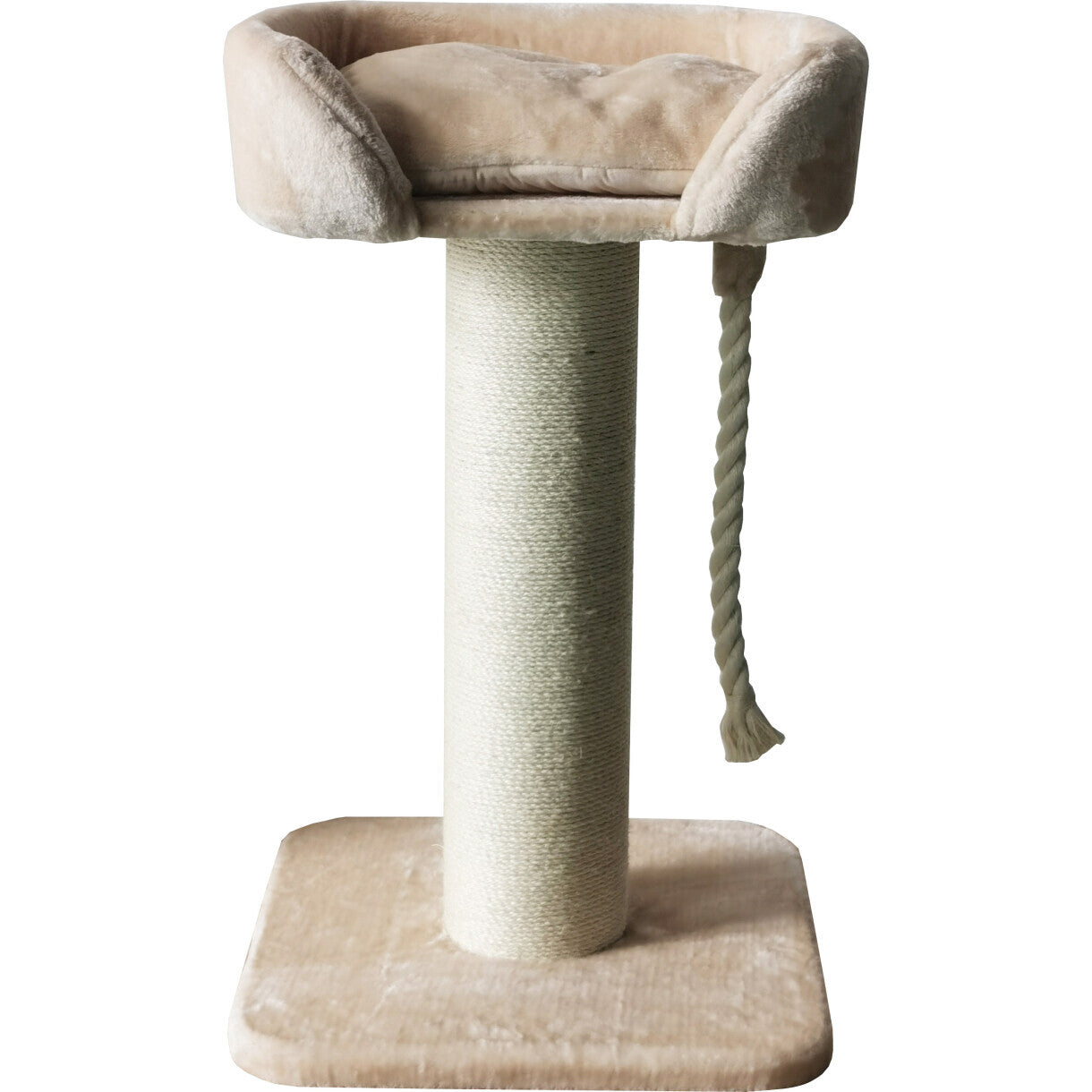 Companion katte kradse møbel med ligge plads