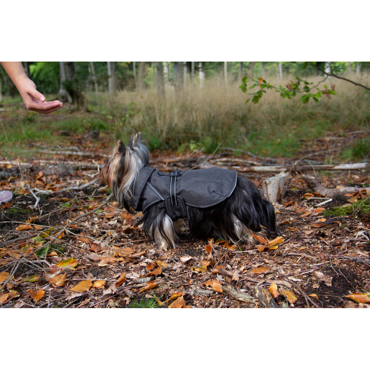 Companion ECO-life hundedækken i genbrugsmateriale