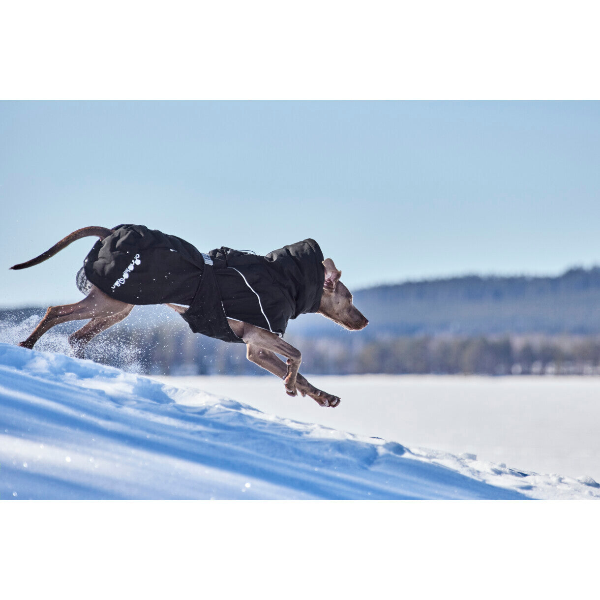 Hurtta Extreme Warmer III ECO hundefrakke - Raven