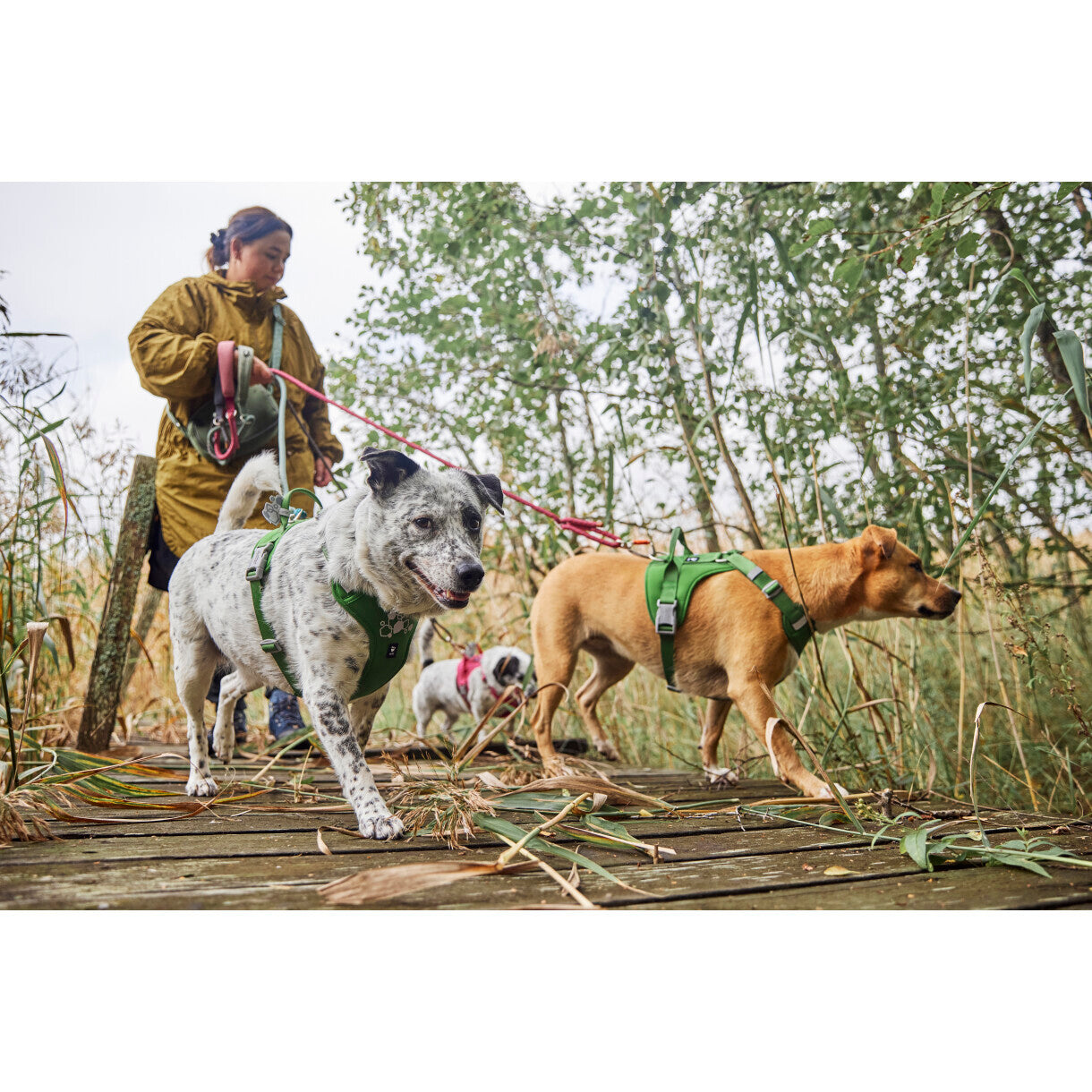 Hurtta Weekend Warrior II ECO hundesele