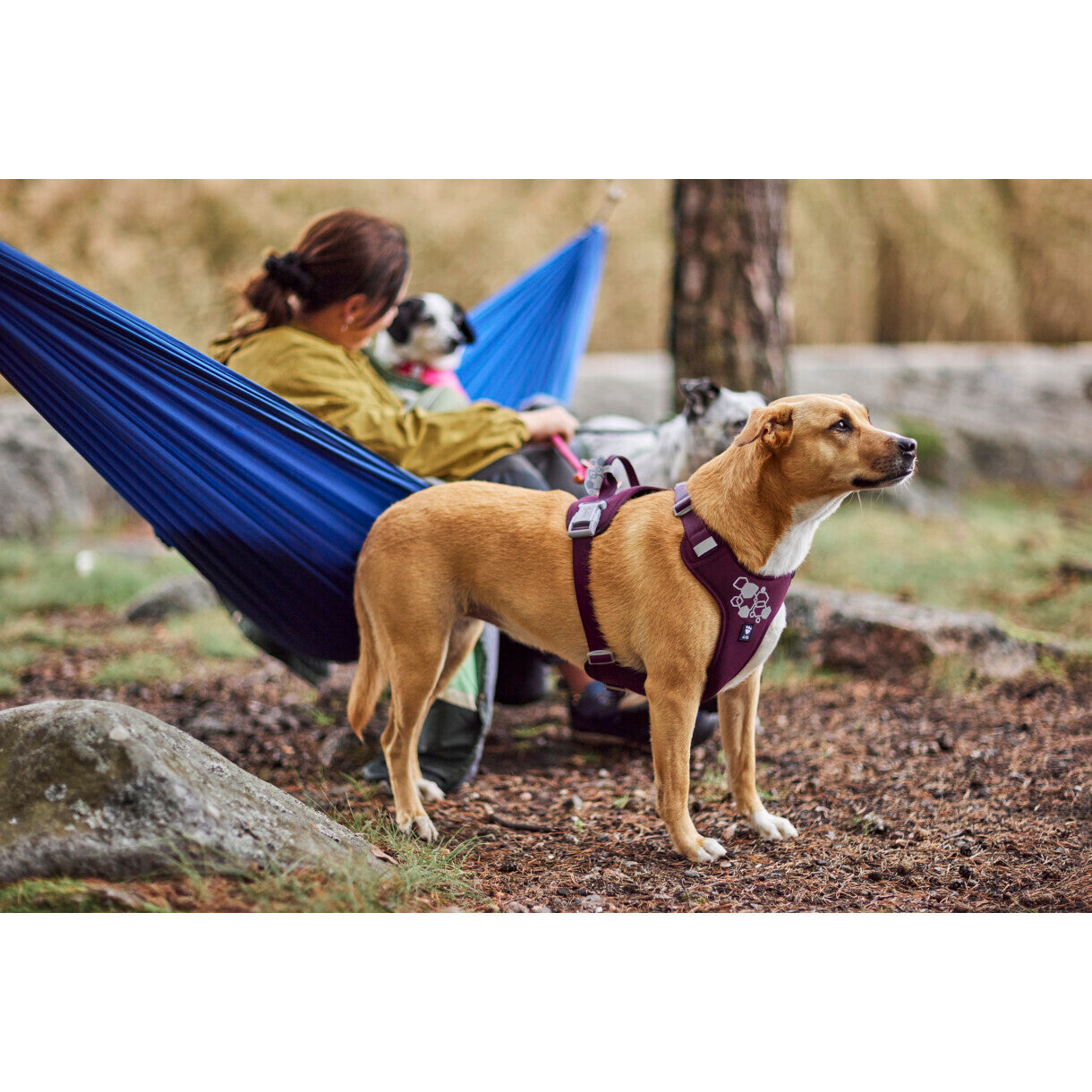 Hurtta Weekend Warrior II ECO hundesele