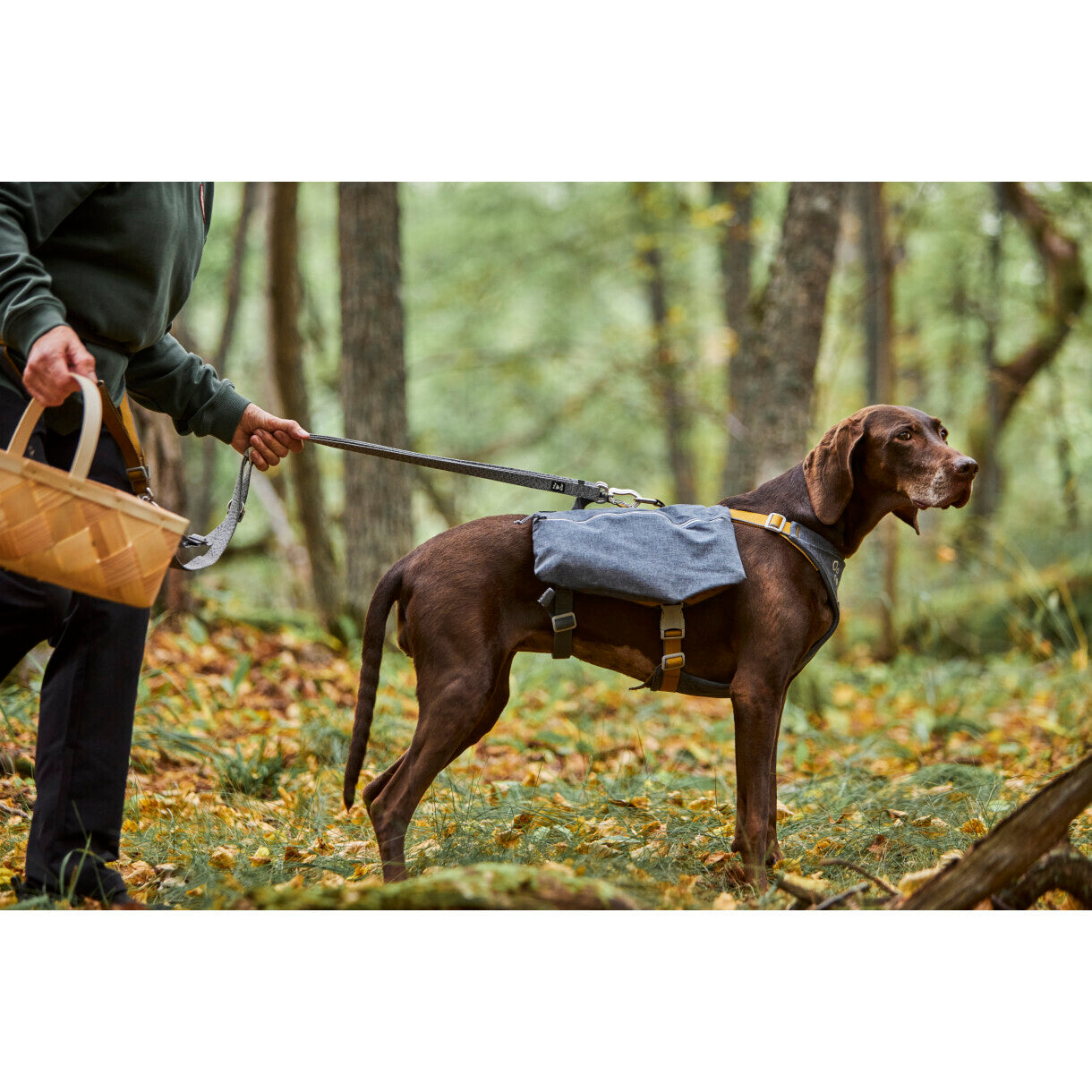 Hurtta Expedition Pack ECO hundesele