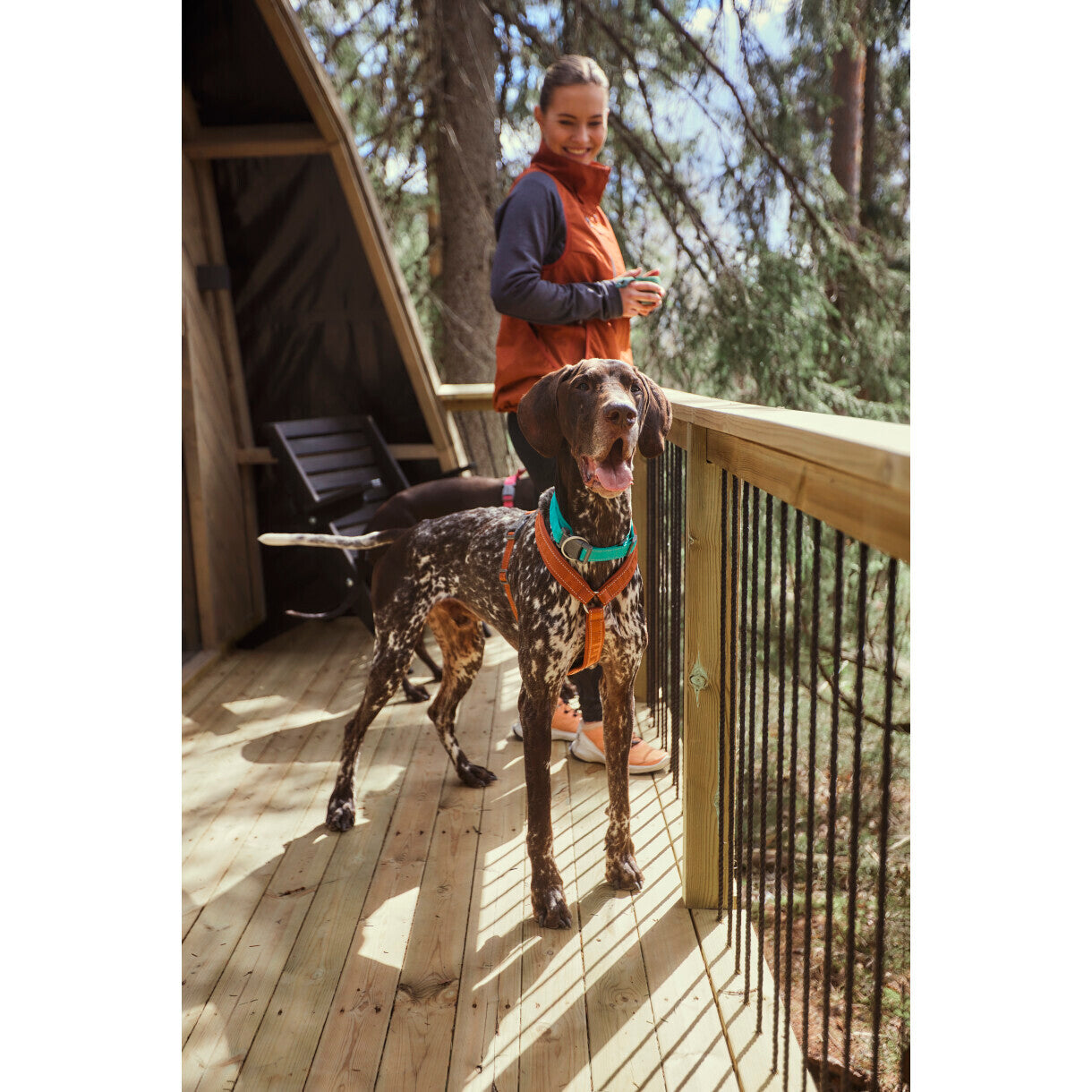 Hurtta Casual ECO Y-hundeseler