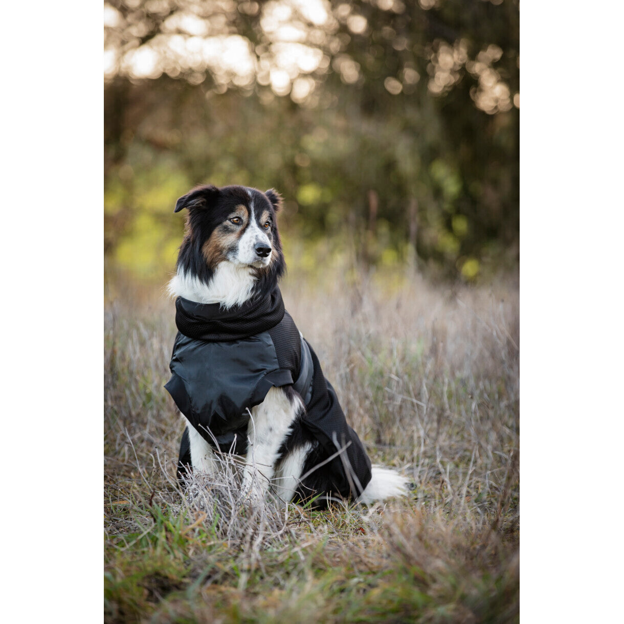 CATAGO FIR-Tech hundedækken - Sort