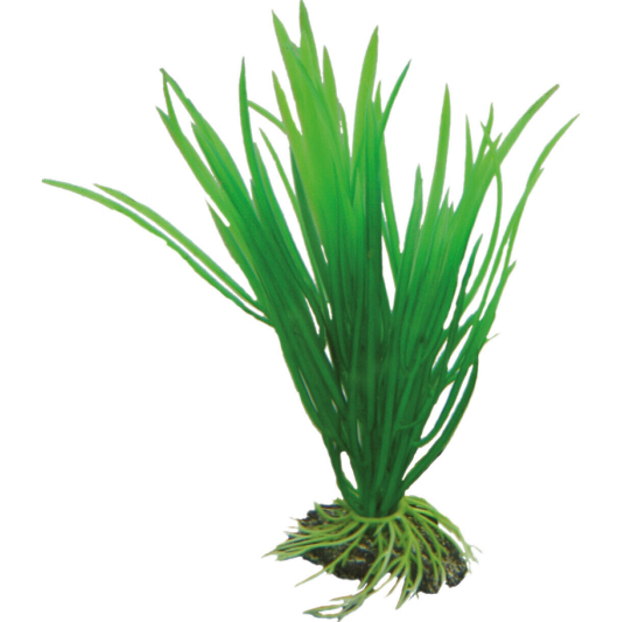 Akvarie plasticplante Cyperus, 16 cm