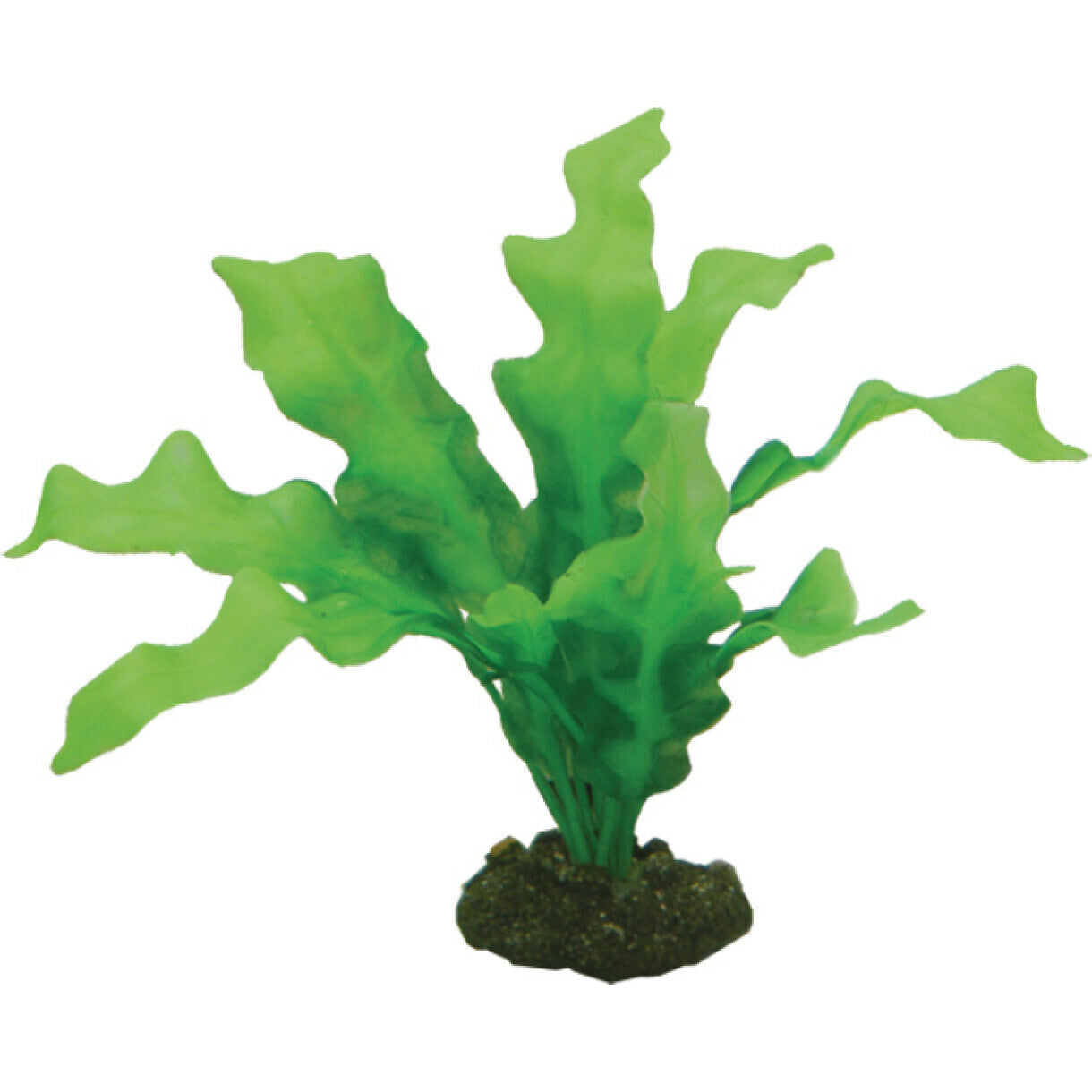 Akvarie plasticplante Echinodrus, 20 cm