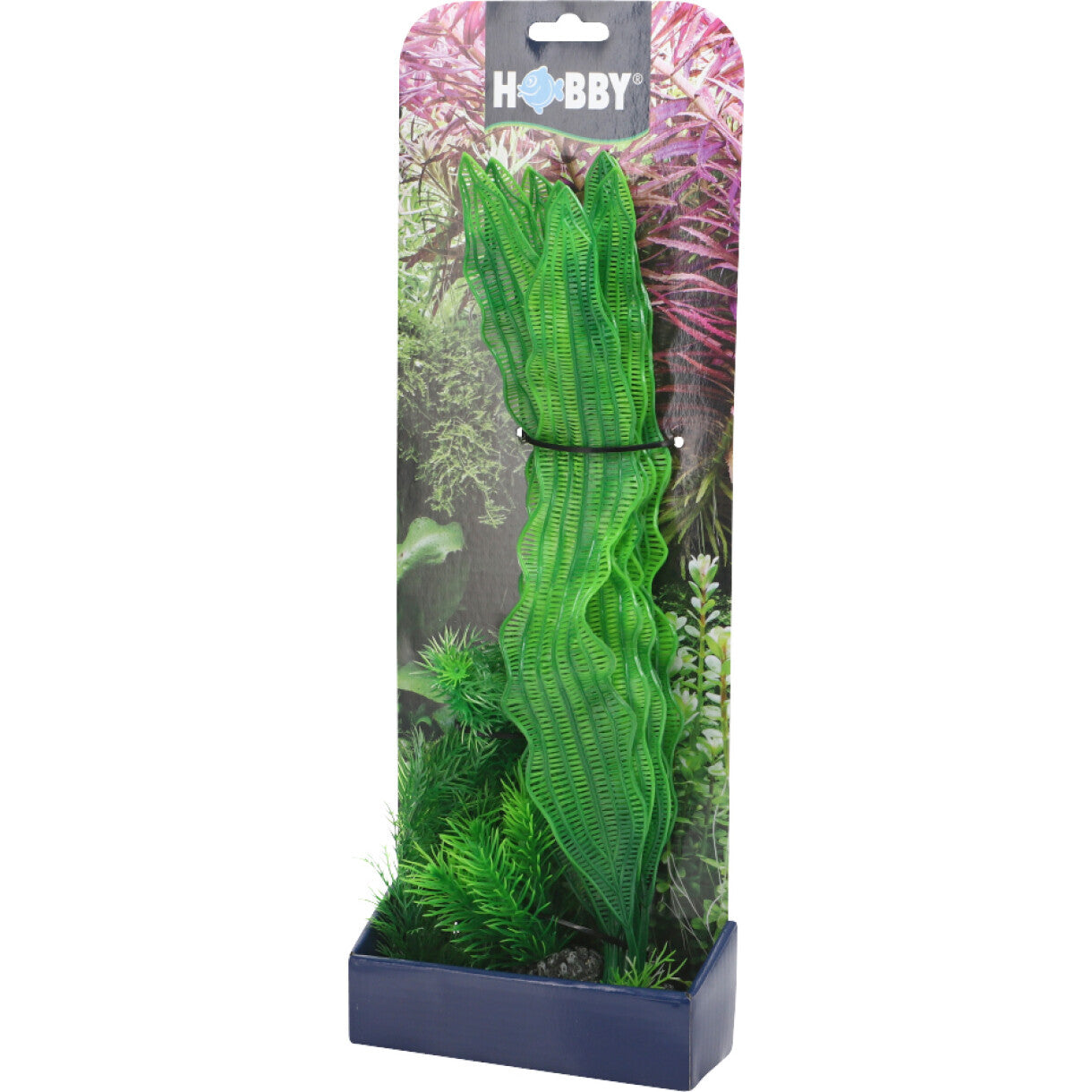 Akvarie Plante sæt 1