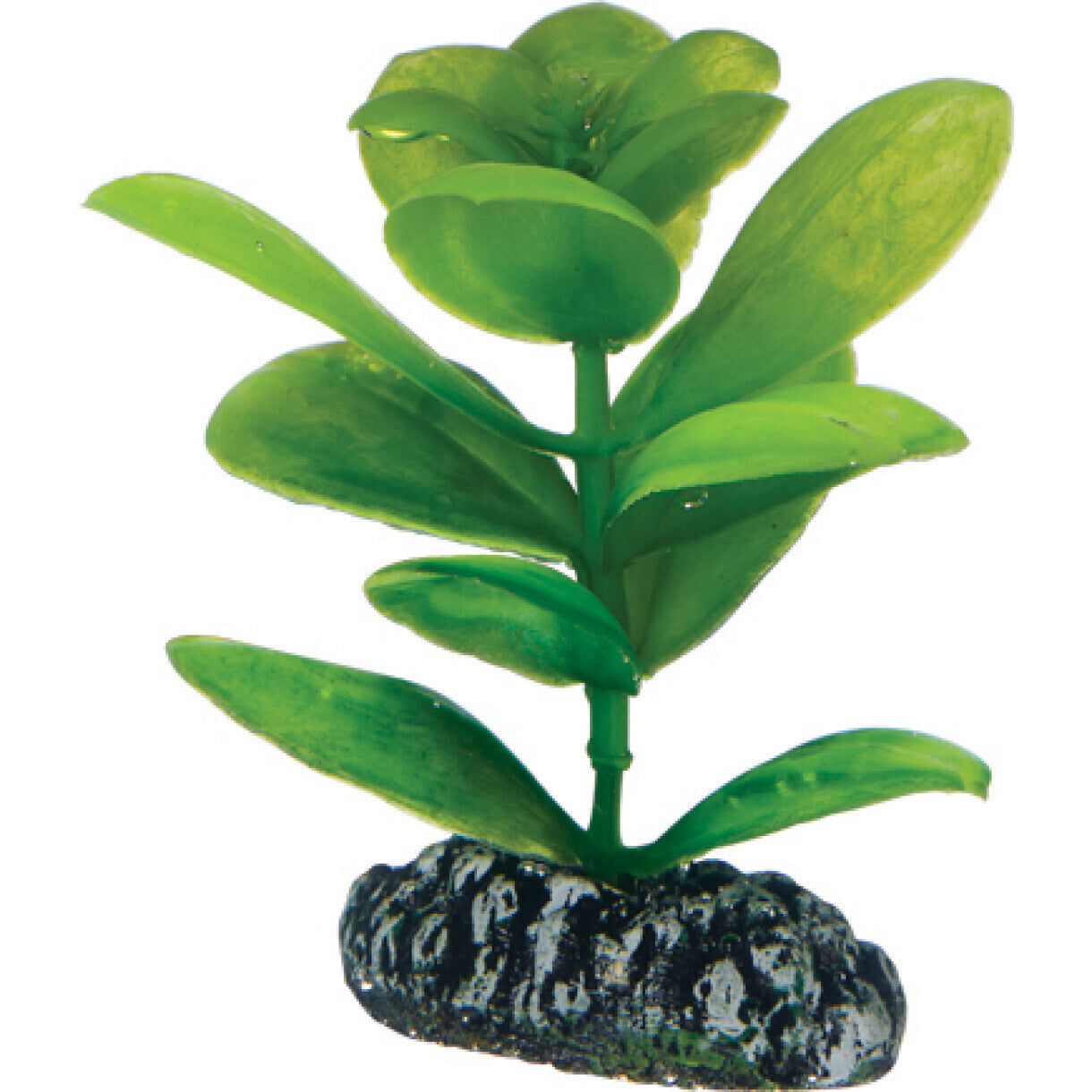 Akvarie plasticplante Saururus