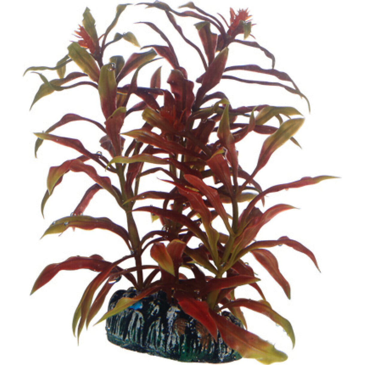 Akvarie plasticplante Nesaea