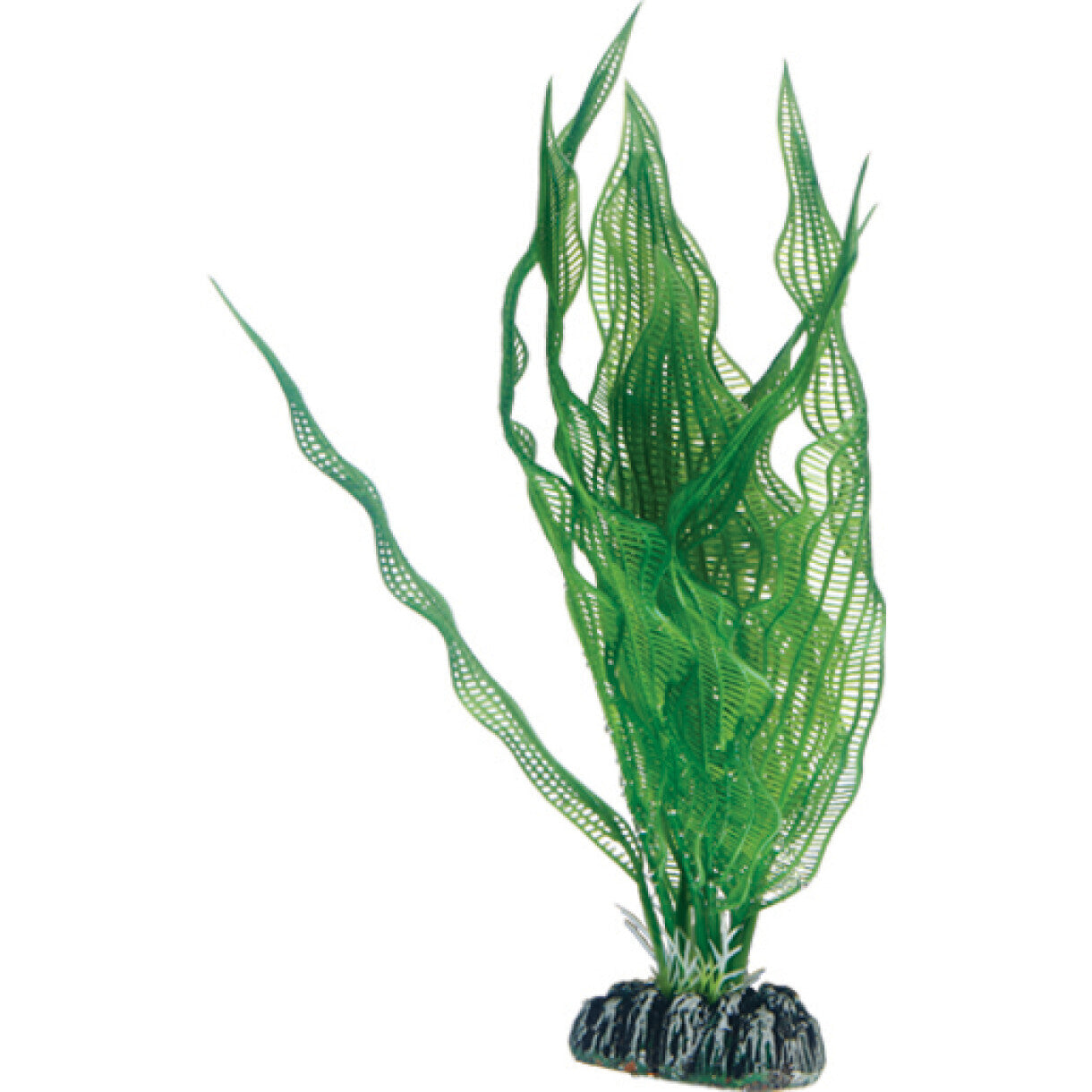 Akvarie plasticplante Aponogeton