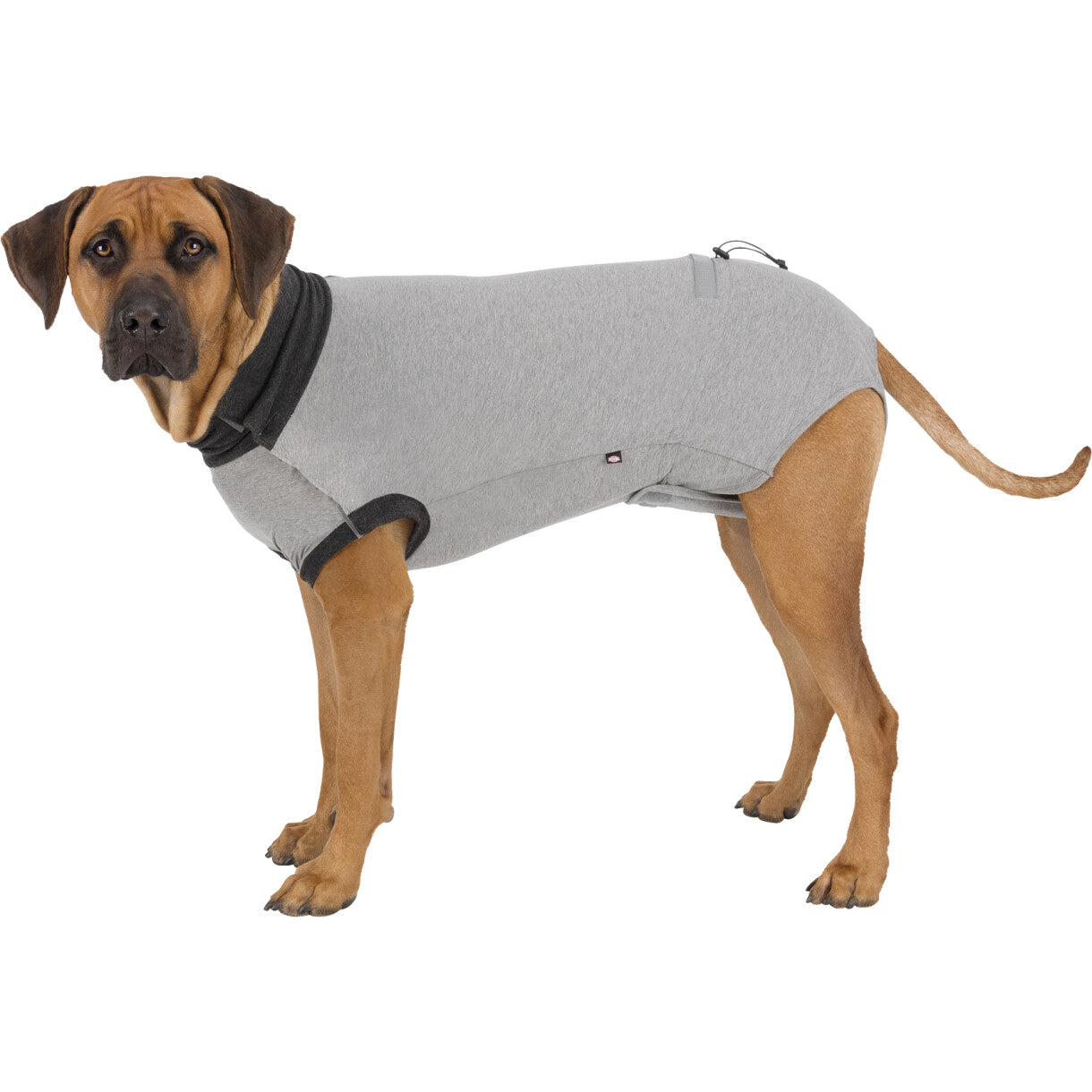 Trixie beskyttelse dragt til hunde