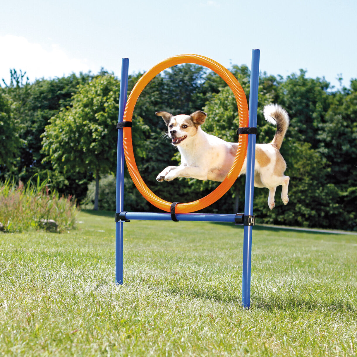 Trixie Hundetræning - Agility ring ø 65 cm