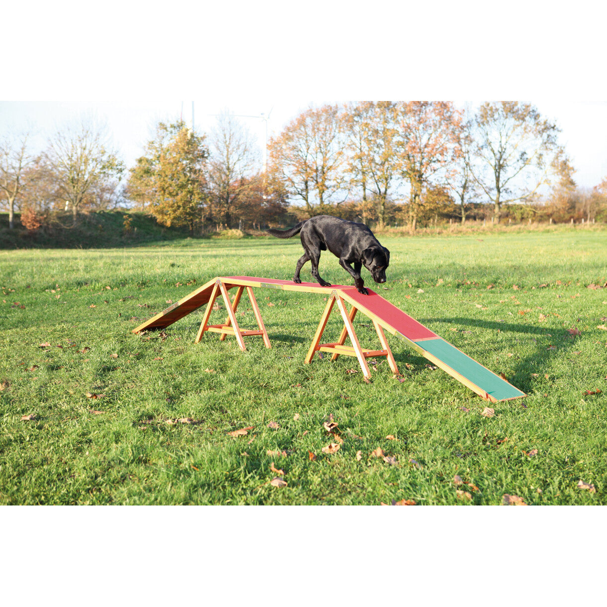 Trixie Hundetræning - Agility trappe 456 x 64 x 30 cm