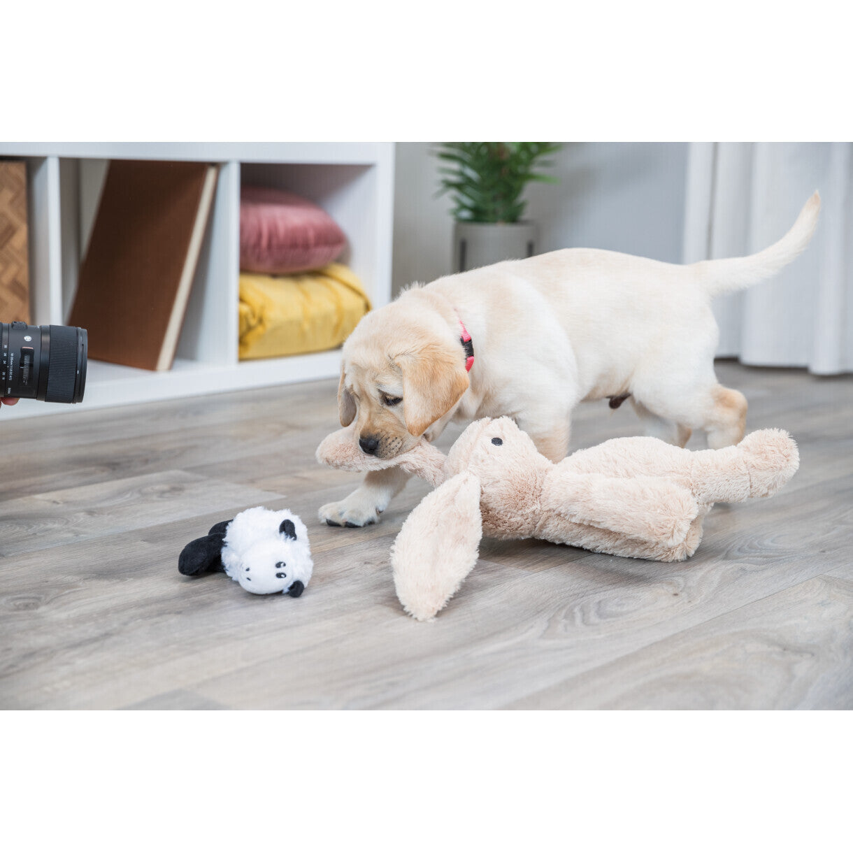 Trixie Hundelegetøj Kanin i plys med original dyrelyd - 38 cm