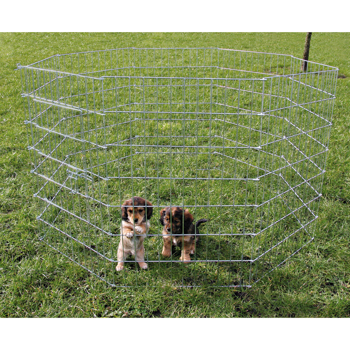 Trixie Hundehvalpe løbegård 8 kantet 8 x 61 x 91 cm