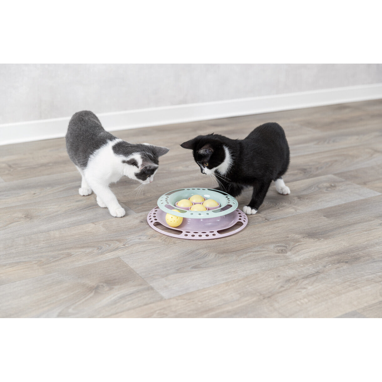 Trixie Killingelegetøj Aktivitetscirkel til killinger ø 24 cm