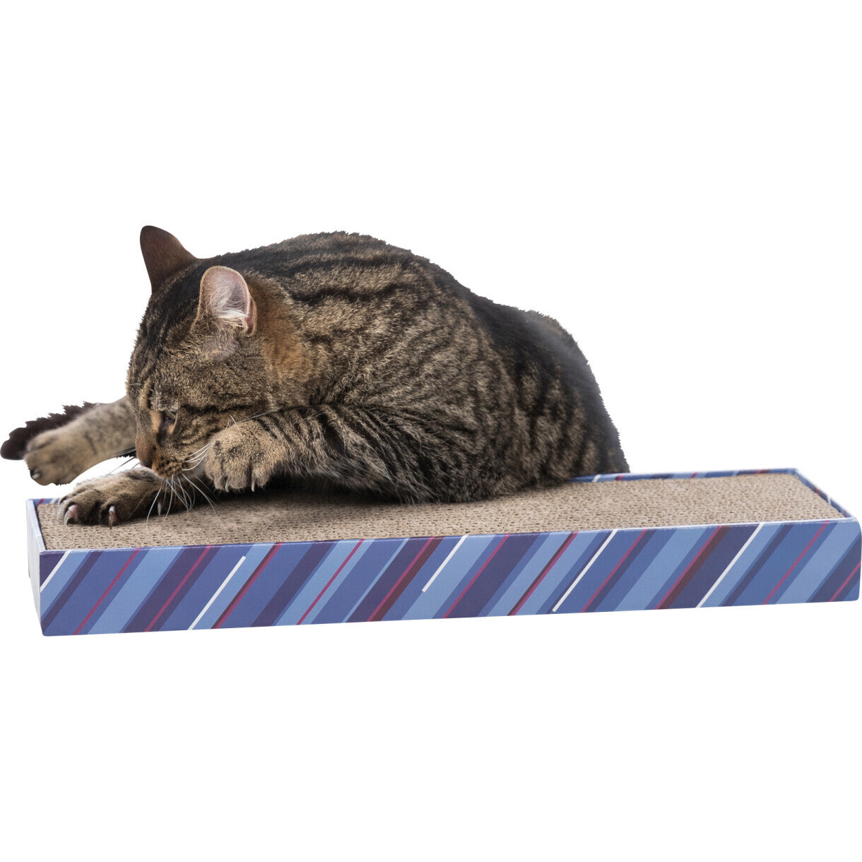 Trixie Kradseplade pap med catnip 50 cm