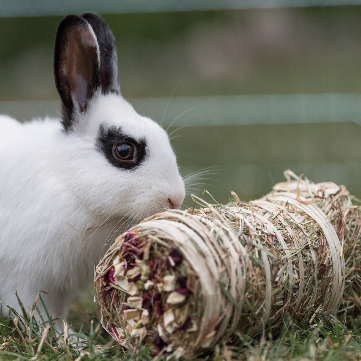 Trixie Høballe med rødbede og pastinak - ø 10 x 18 cm - 200 g