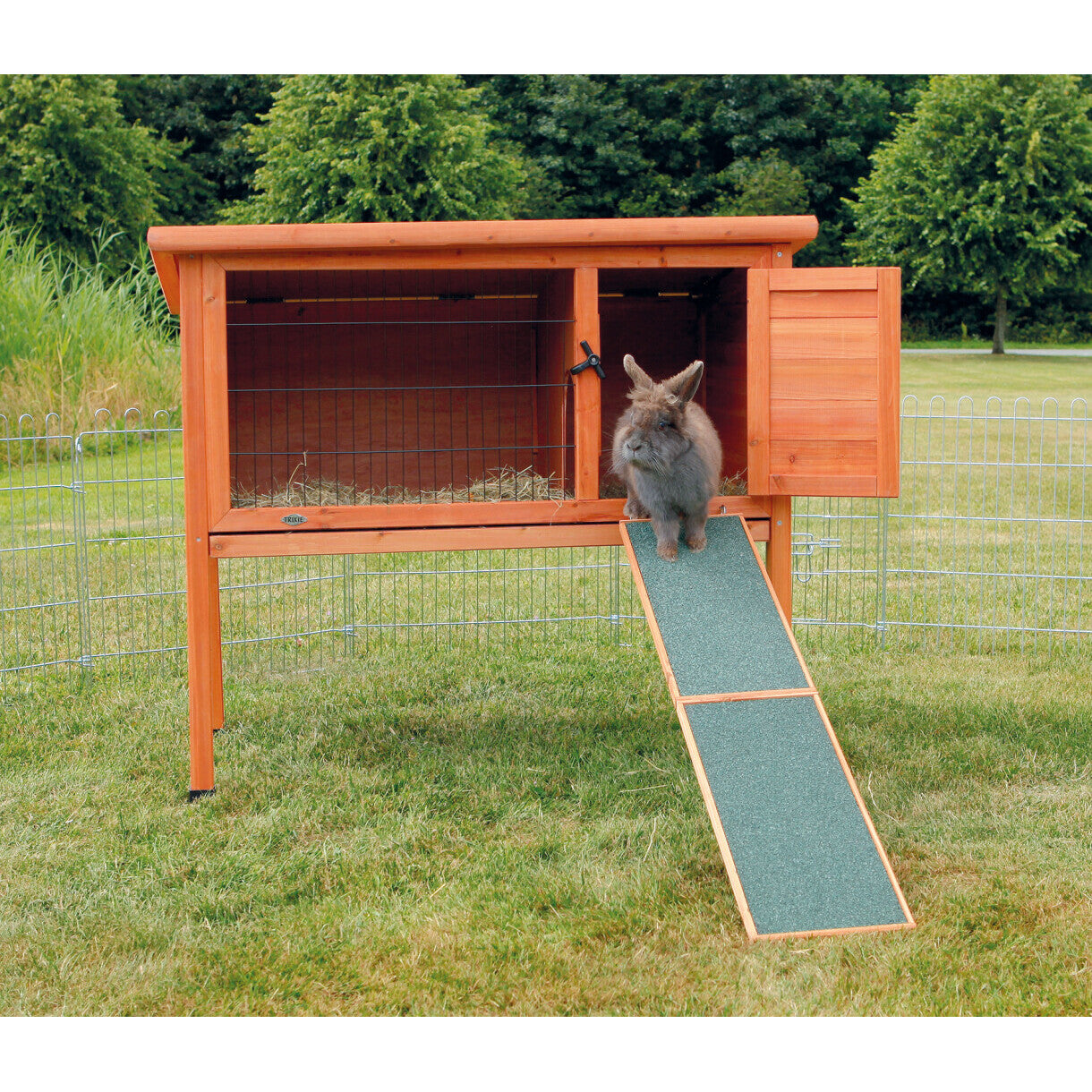 Trixie Trærampe til kaninbur 20 x 50 cm