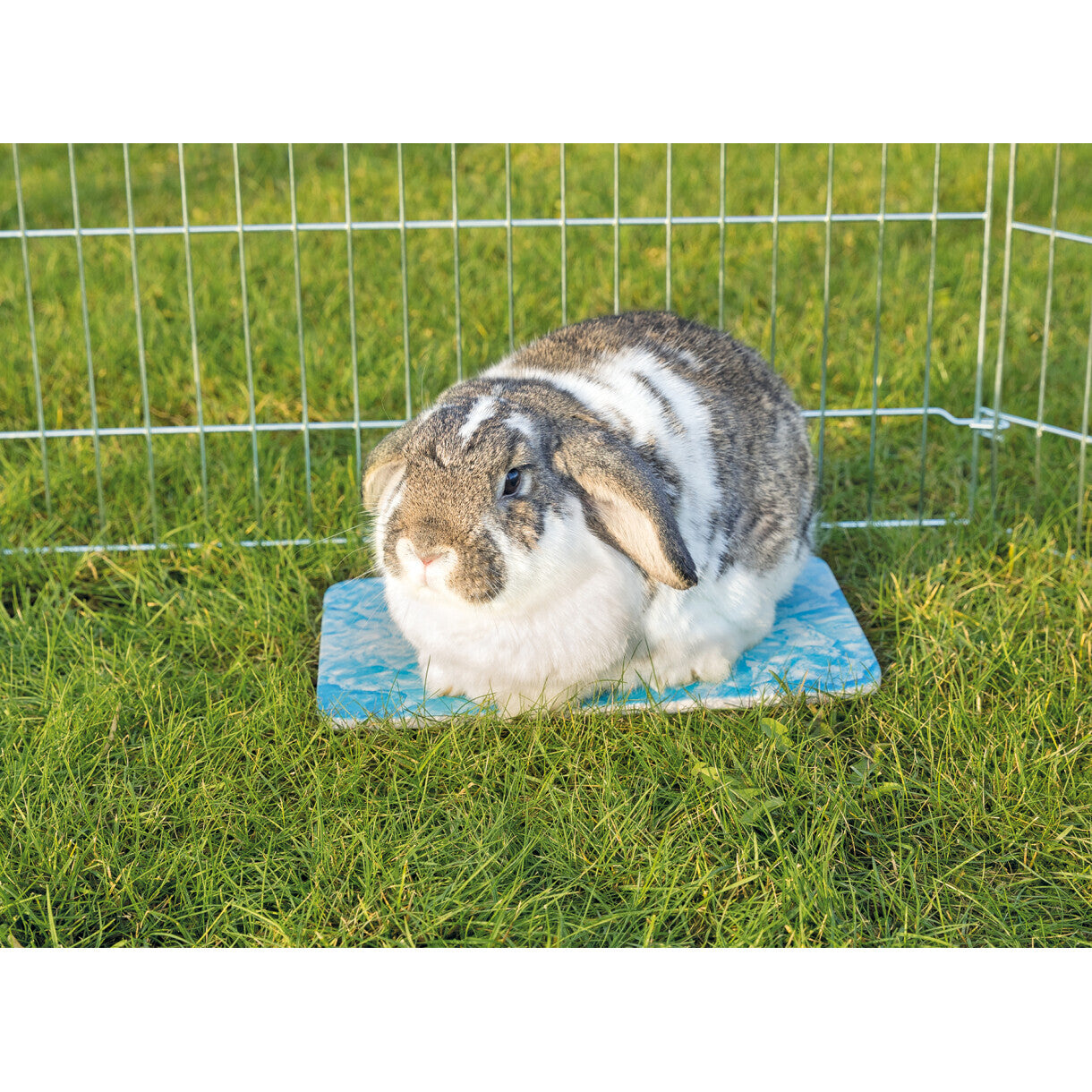 Trixie køle plade til små kæledyr