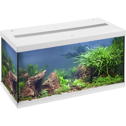Eheim akvarie 54 liter med LED lys hvid - startersæt 61 x 31 x 32 cm